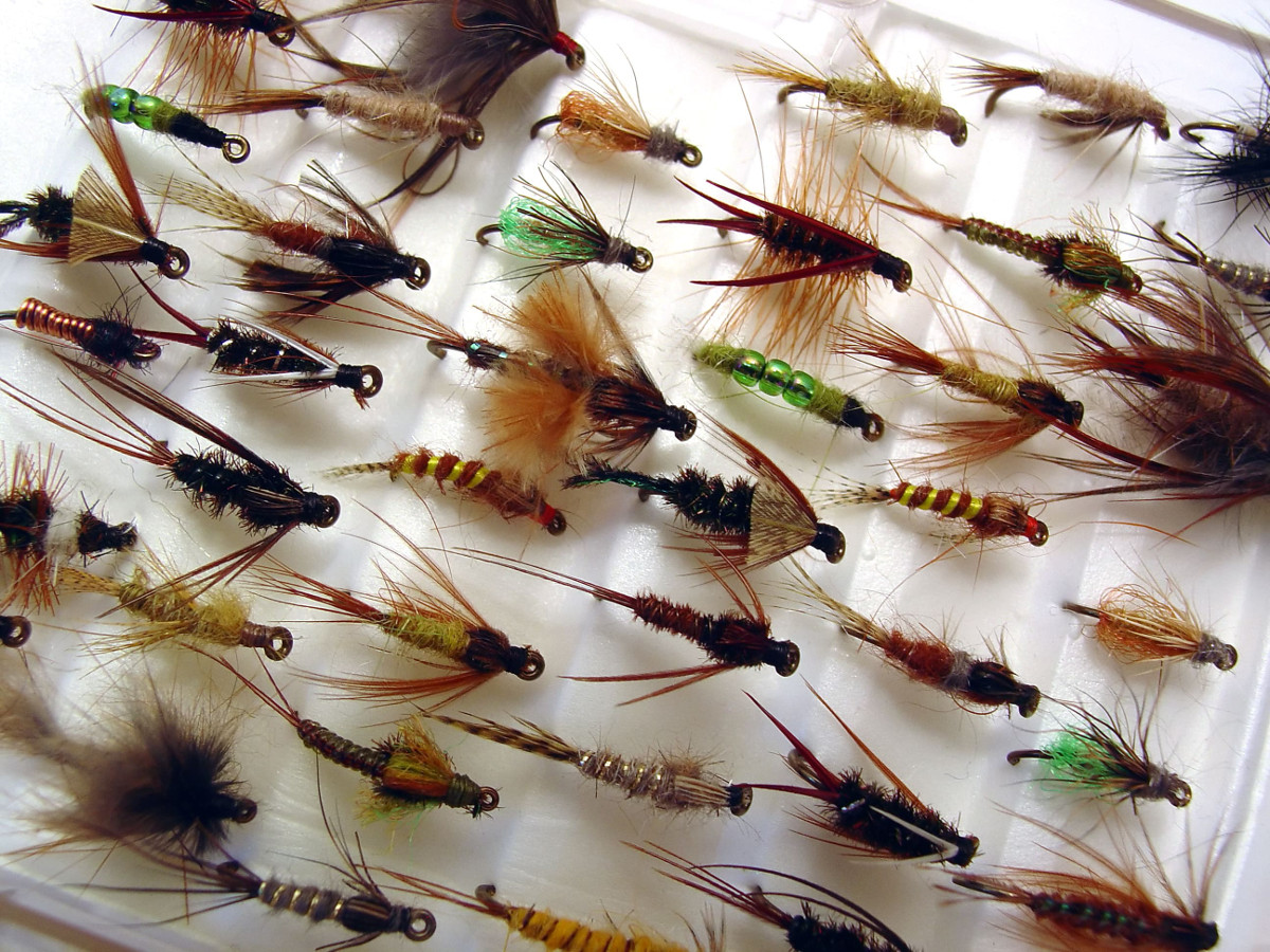 Type of Flies for Fly Fishing